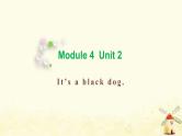 三年级英语上册Module4Unit2It'sablackdog教学课件外研版三起