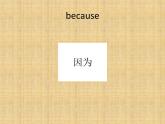 四年级下册英语课件-lesson 9 i like summer 课件1｜科普版（三起）(共19张ppt)