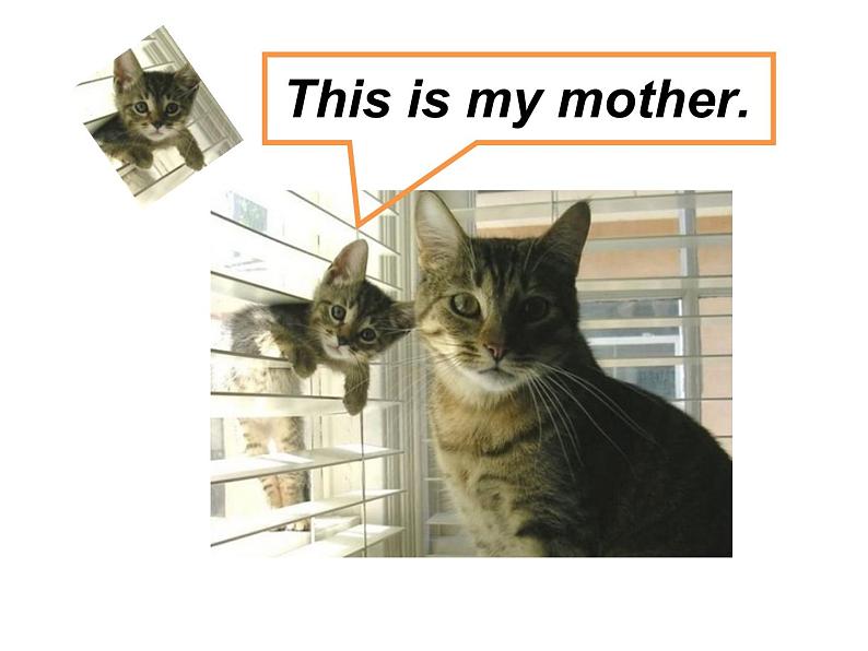 北师大版 (一年级起点) 二年级英语上册Unit 5 Welcome_课件、学案05