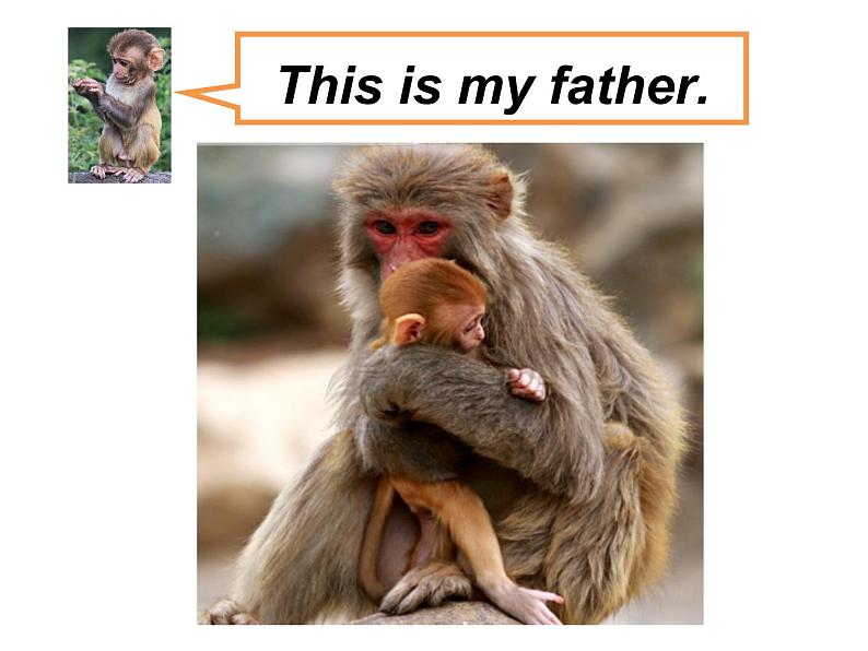 北师大版 (一年级起点) 二年级英语上册Unit 5 Welcome_课件、学案07