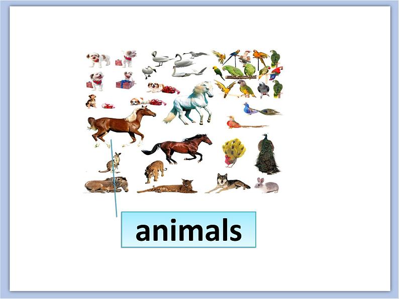 冀教版英语（一起）三年级下册Unit 2 Animal Friends Lesson 7 We Are Friends 课件1第4页