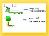 外研版（一起）英语一年级下册课件 Module 6《Unit 2 They’re little and cute》