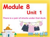 外研版（一起）英语一年级下册课件 Module 8《Unit 1 There’s a pair of shorts under that duck》