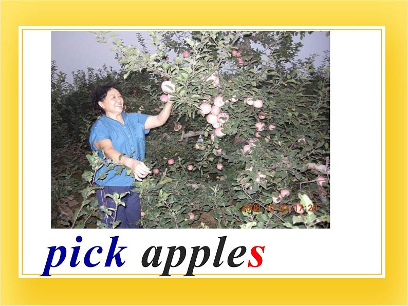 外研版（一起）英语三年级下册课件 《Module 4Unit 1 We'll pick fruit.》04