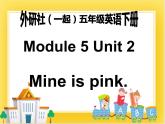 外研版（一起）英语五年级下册课件 《Module5Unit 2 Mine is pink.》