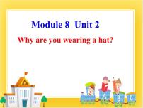 外研版 (一年级起点)六年级下册Unit 2 Why are you wearing a hat?完美版课件ppt