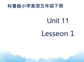 Lesson11 第1课时 课件教案