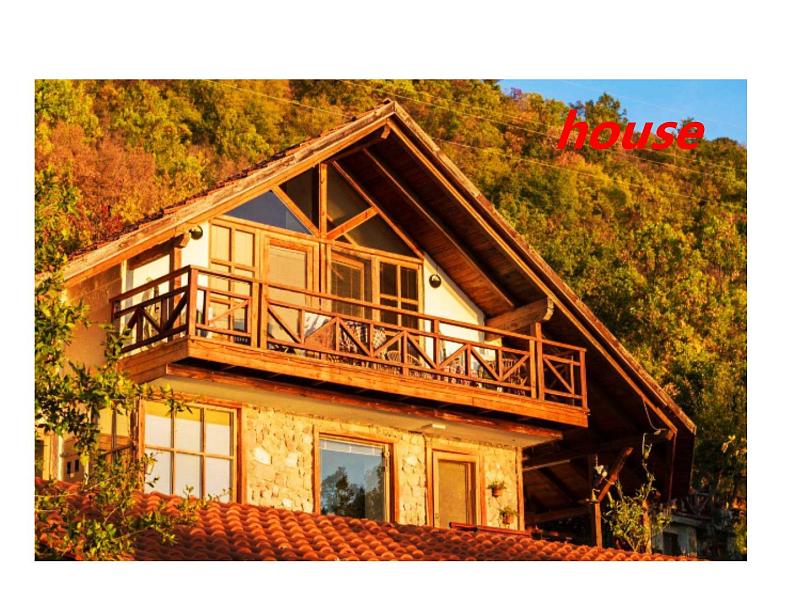 人教PEP版英语五年级上册 Unit 6 In a nature park-PartB Let's learn & Write and say(课件)04