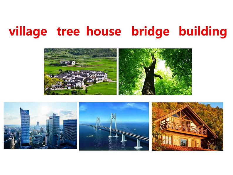 人教PEP版英语五年级上册 Unit 6 In a nature park-PartB Let's learn & Write and say(课件)08