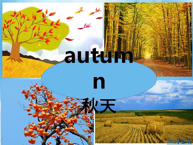 XS四英下Unit 2 Spring is warm第8页