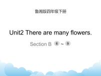 湘鲁版四年级下册Unit 2 There are many flowers.综合与测试优秀课件ppt