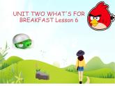 二年级下册英语 Unit 2 What’s for breakfast  Lesson 6 课件2 北京版