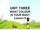 一年级下册英语 Unit 3 What colour is your bag Lesson 9 课件1 北京版
