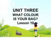 一年级下册英语 Unit 3 What colour is your bag Lesson 10 课件1 北京版