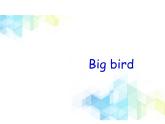 三年级下册英语课件-  Unit 8 Big bird 北师大版（一起）