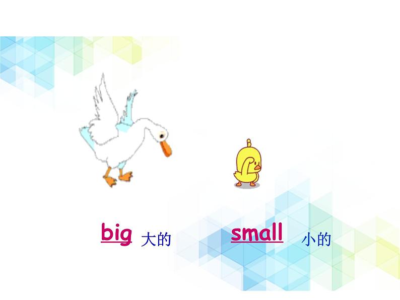 三年级下册英语课件-  Unit 8 Big bird 北师大版（一起）第8页