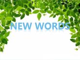 科普版英語四年級(jí)下冊(cè)Lesson3 第1課時(shí) 課件