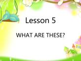 科普版英语四年级下册Lesson5 第1课时 课件