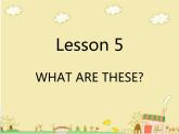 科普版英语四年级下册Lesson5 第2课时 课件