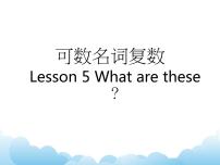 小学英语科普版四年级下册Lesson 5 What are these?背景图课件ppt