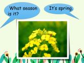 科普版英语四年级下册Lesson9 第2课时 课件