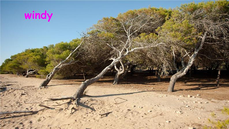 Unit 3 Part B 第5课时 课件+教案+素材03