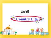 鲁科版小学英语五年级下册Unit5Country Life课件