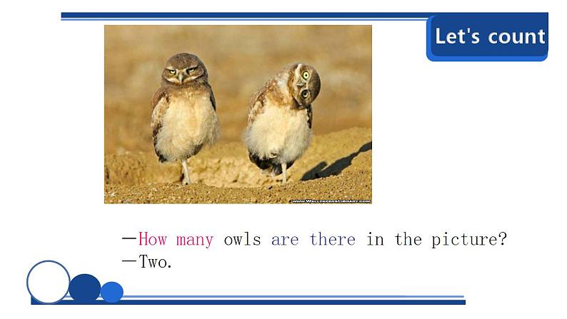 四年级上册英语 Unit6 Meet my family（B） 人教PEP课件PPT07