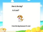 Unit4 We love animals(A)课件PPT