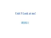 3 Look at me(B)课件PPT