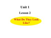 小学英语冀教版 (三年级起点)五年级上册unit 1 My familyLesson 2 What Do They Look Like?教案配套ppt课件