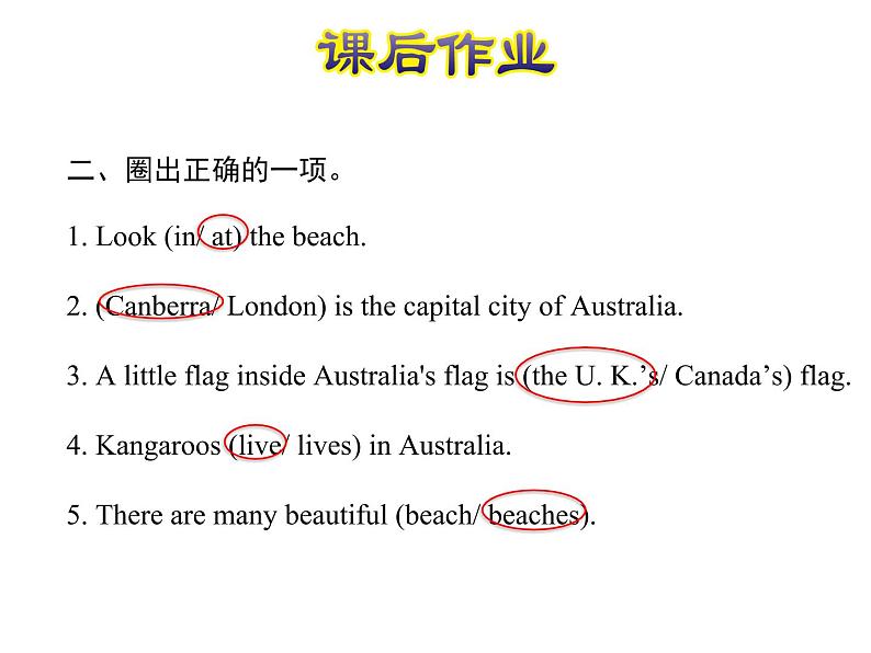 U2-L11 Australia 课后作业课件第3页