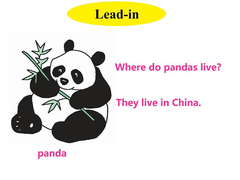 U2-L11 Australia 上课课件第2页