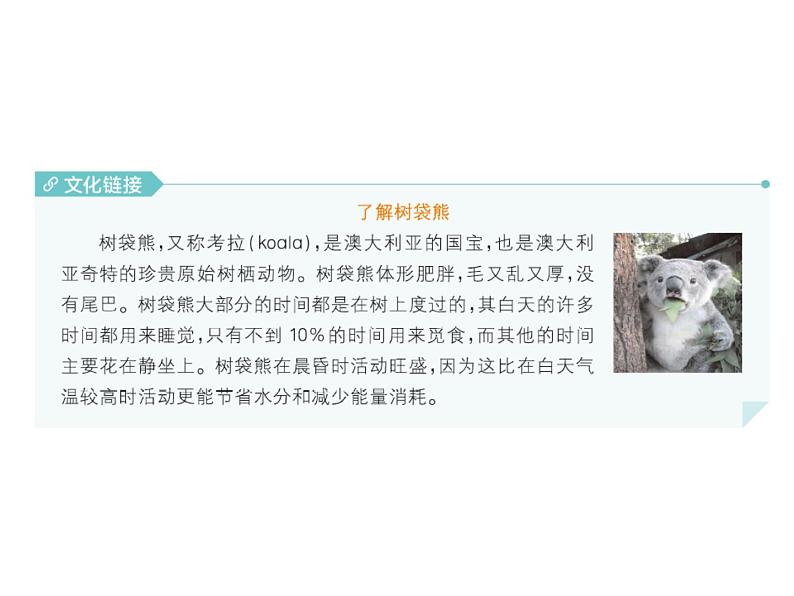 U2-L11 Australia 上课课件第5页