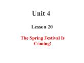 冀教版（三起）英语五年级上册 Lesson 20  The Spring Festival Is Coming!（课件+音频）
