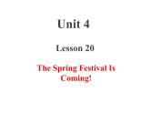 冀教版（三起）英语五年级上册 Lesson 20  The Spring Festival Is Coming!（课件+音频）