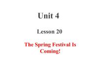 冀教版 (三年级起点)五年级上册Lesson 20 The Spring Festival Is Coming!教案配套课件ppt