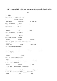 英语六年级下册Unit 3 Where did you go?综合与测试单元测试同步达标检测题