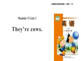 Module 5 Unit 1 They're cows课件PPT