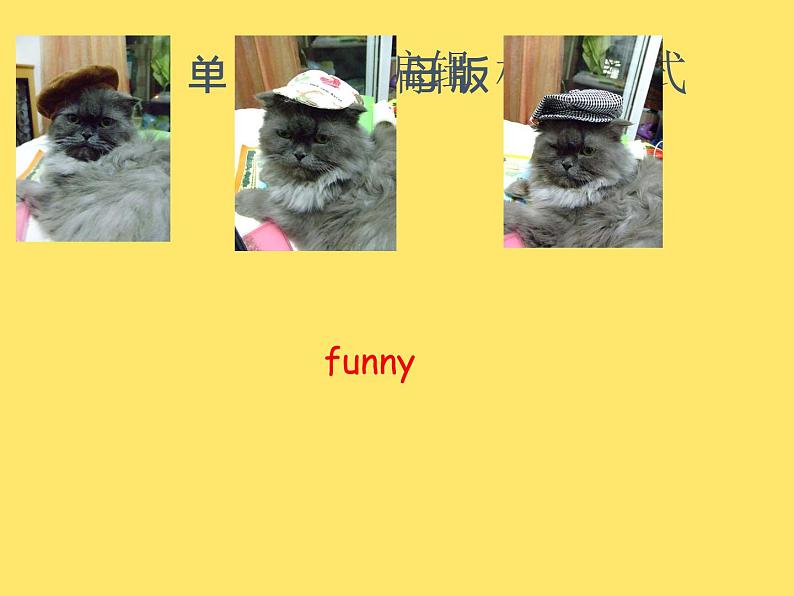 牛津上海版英语三下M2u3 课件+教案04