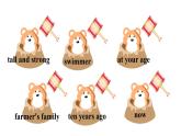 外研劍橋版英語(yǔ)五下unit6第3課時(shí) Adventures  3a & 3b課件+教案+素材