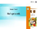 Module 7 Unit 2 She's got a cold课件PPT