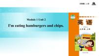 外研版 (一年级起点)三年级上册Unit 2 I’m eating hamburgers and chips.多媒体教学课件ppt