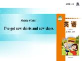 Module 6 Unit 1 I've got new shorts and new shoes课件PPT