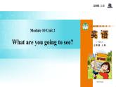 Module 10 Unit 2 What are you going to see课件PPT