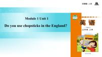 2020-2021学年Unit 1 Do you use chopsticks in England?教课课件ppt