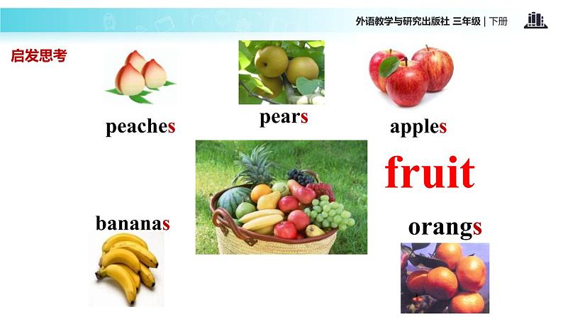 Module 4 Unit 1 We 'll pick fruit课件PPT第4页