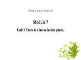 Module 7 unit 1 There is a horse in this photo课件PPT