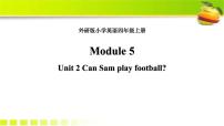 小学英语外研版 (三年级起点)四年级上册Unit 2 Can Sam play football?教课内容课件ppt