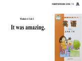Module 6 Unit 2 I t was amazing課件PPT